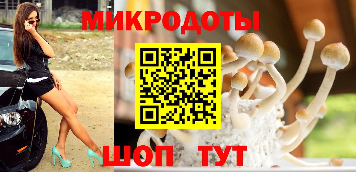 Севастополь  цены   Вход с VPN  Псилоцибиновые грибы GOLDEN TEACHER 