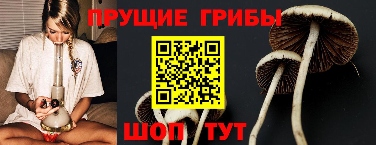 Псилоцибиновые грибы GOLDEN TEACHER Севастополь
